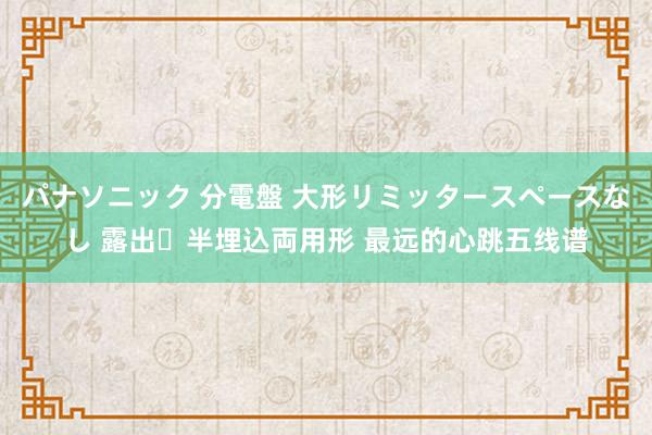 パナソニック 分電盤 大形リミッタースペースなし 露出・半埋込両用形 最远的心跳五线谱