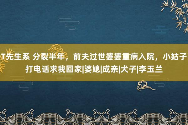 T先生系 分裂半年，前夫过世婆婆重病入院，小姑子打电话求我回家|婆媳|成亲|犬子|李玉兰