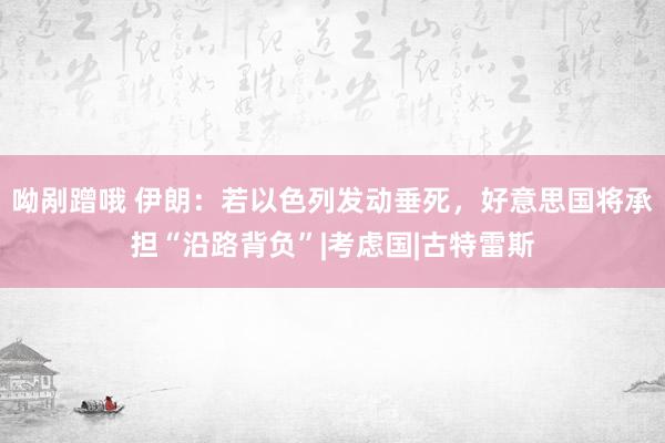 呦剐蹭哦 伊朗：若以色列发动垂死，好意思国将承担“沿路背负”|考虑国|古特雷斯