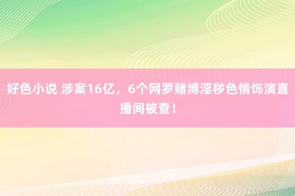 好色小说 涉案16亿，6个网罗赌博淫秽色情饰演直播间被查！