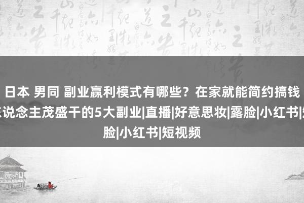 日本 男同 副业赢利模式有哪些？在家就能简约搞钱却没东说念主