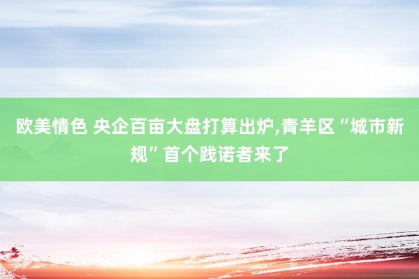 欧美情色 央企百亩大盘打算出炉,青羊区“城市新规”首个践诺者