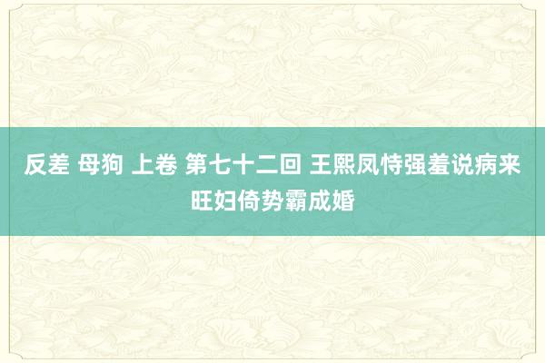 反差 母狗 上卷 第七十二回 王熙凤恃强羞说病　来旺妇倚势霸