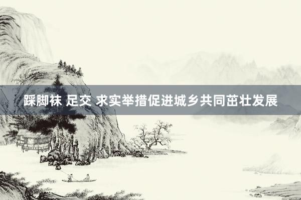 踩脚袜 足交 求实举措促进城乡共同茁壮发展